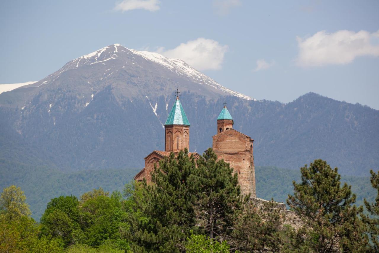 Chateau Gremisio Kvareli Bagian luar foto